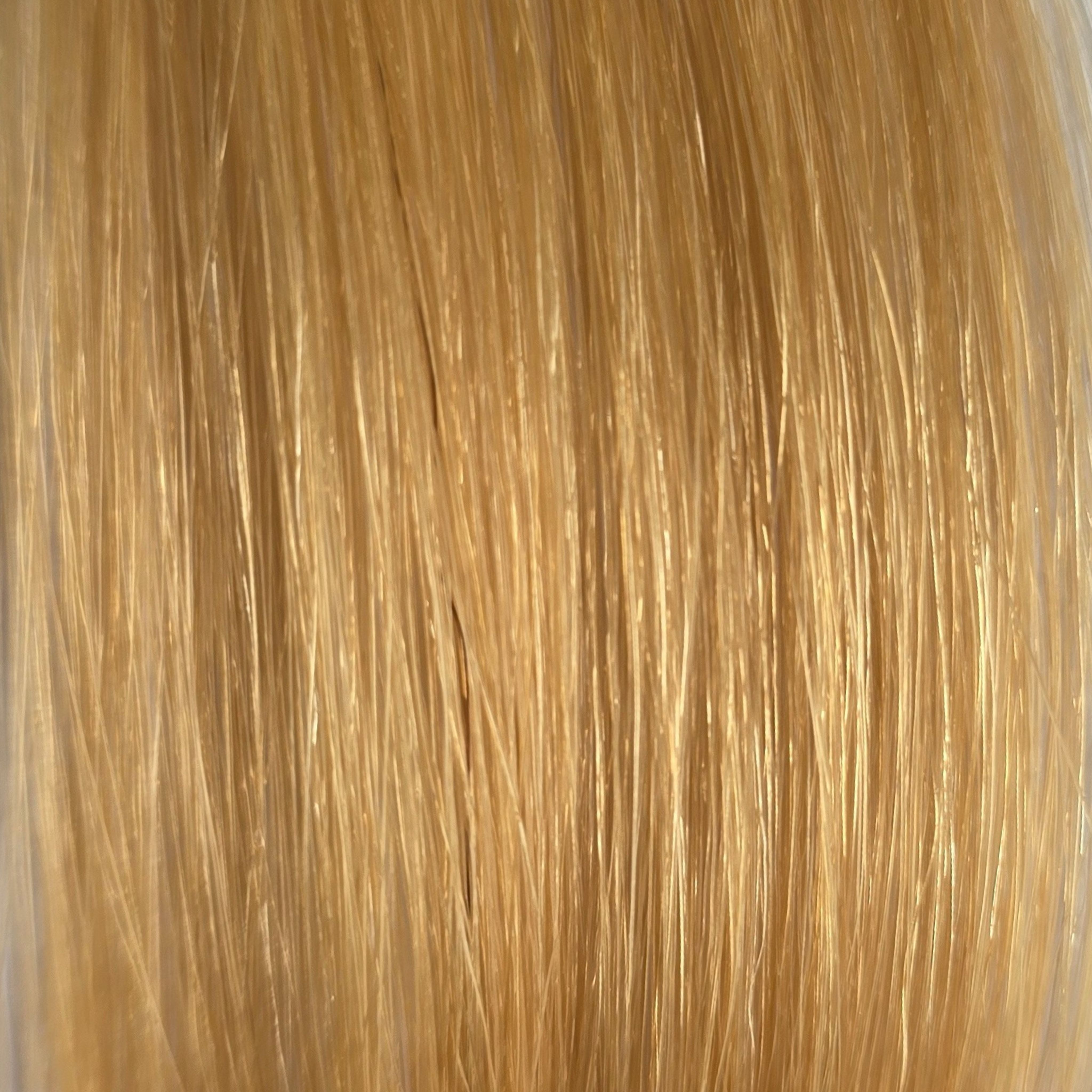 Clip-In Honey Blonde #27
