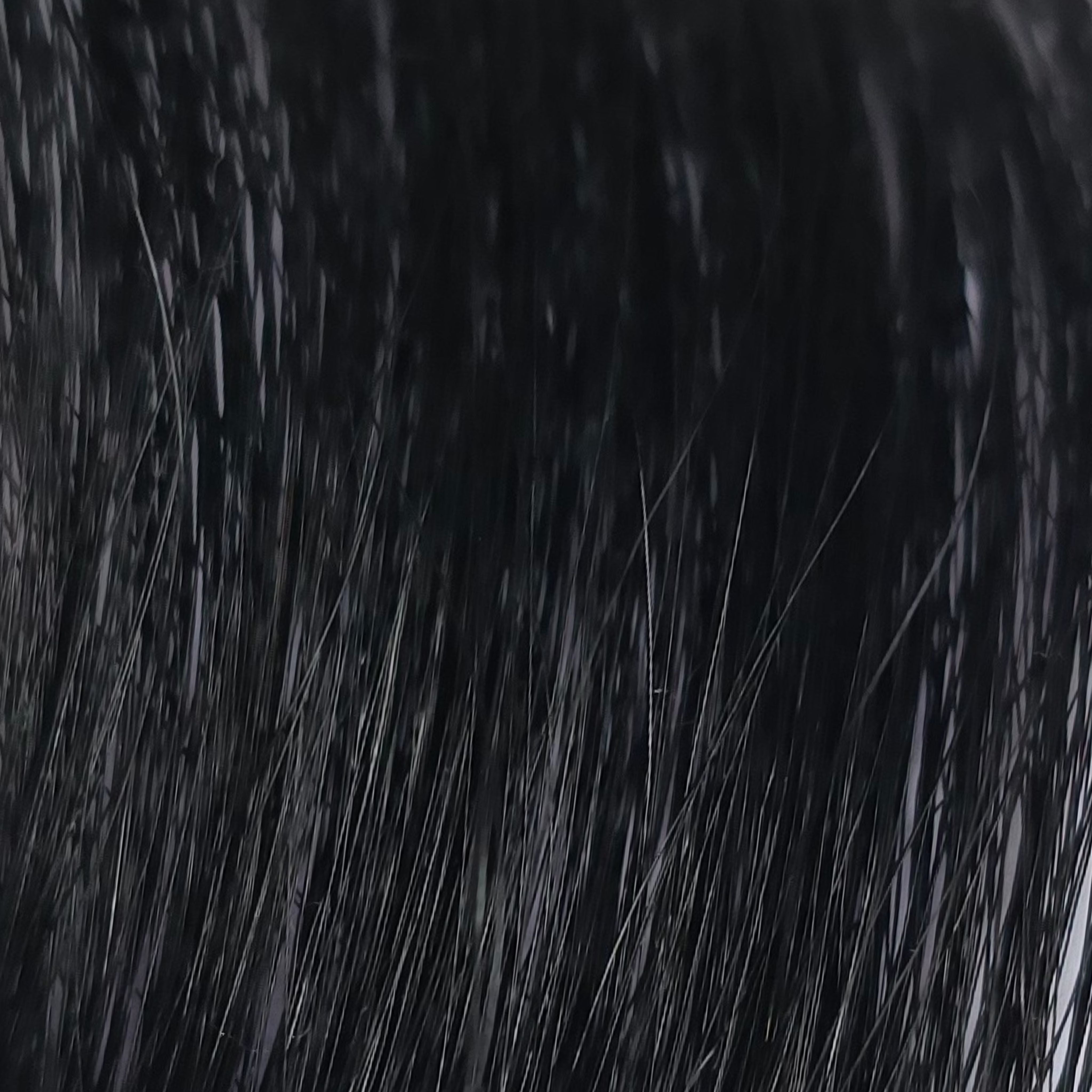 Dyed Slavic Jet Black #1