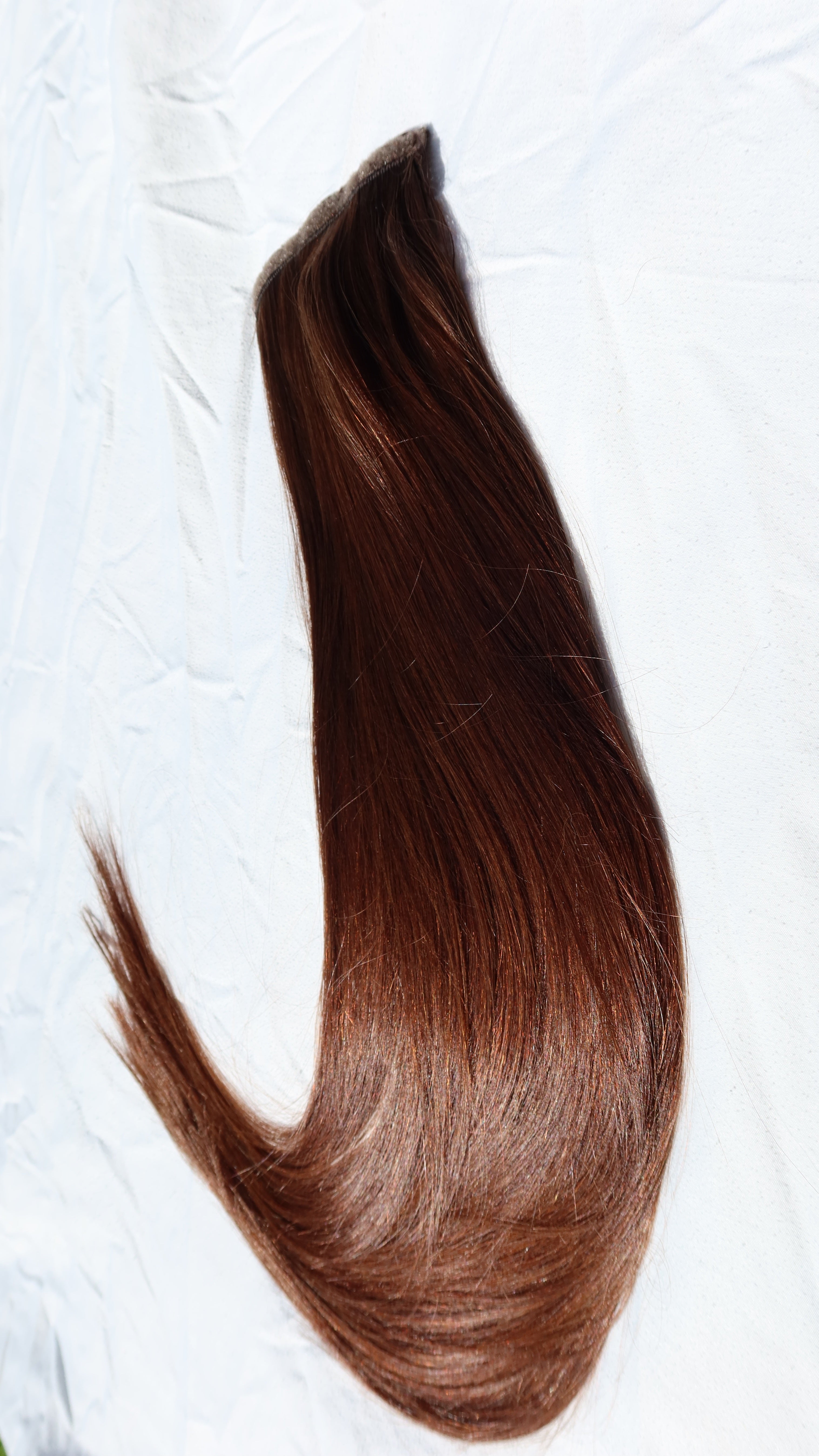 Secret Pony Highlight P18_60