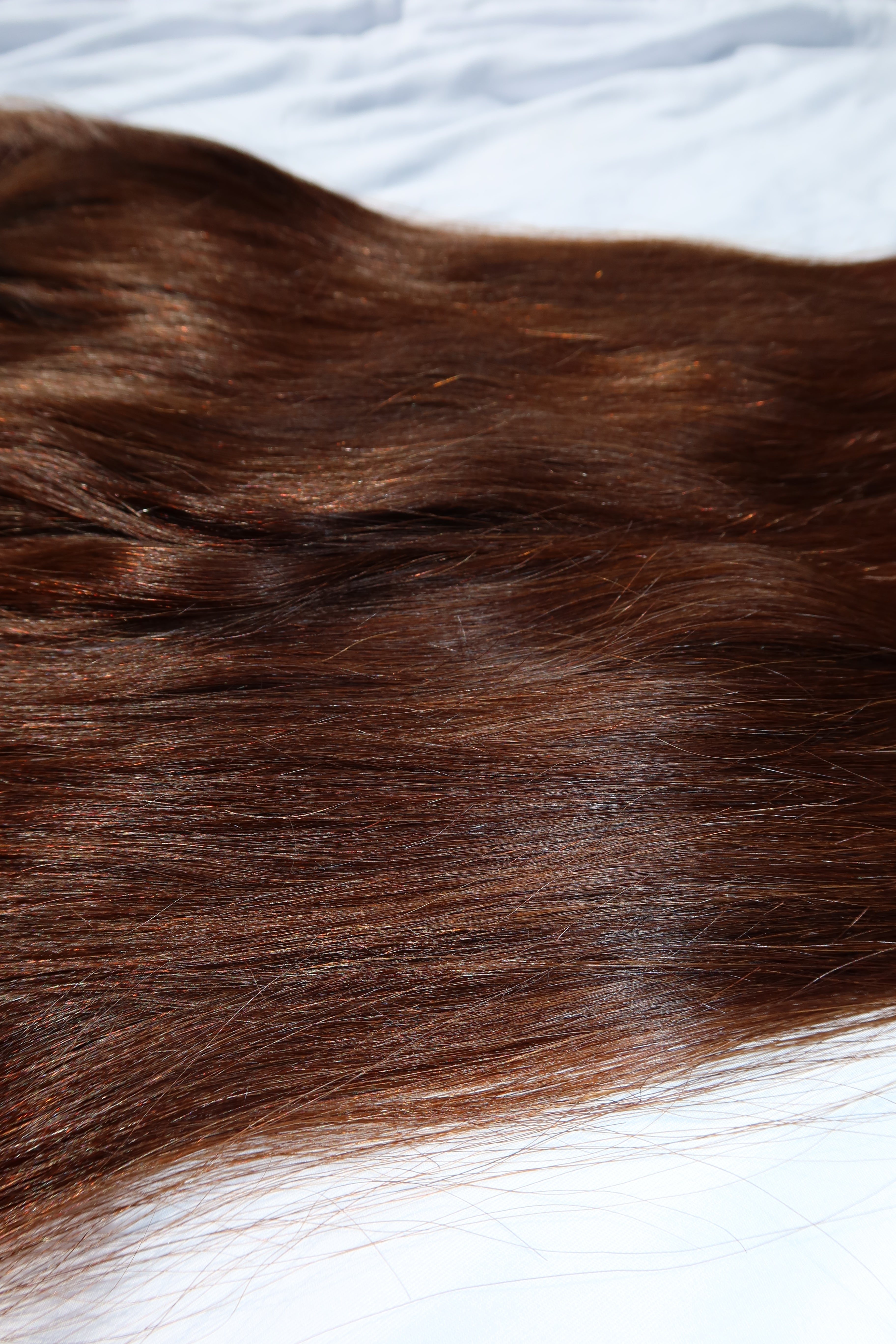 Secret Pony Highlight P18_60