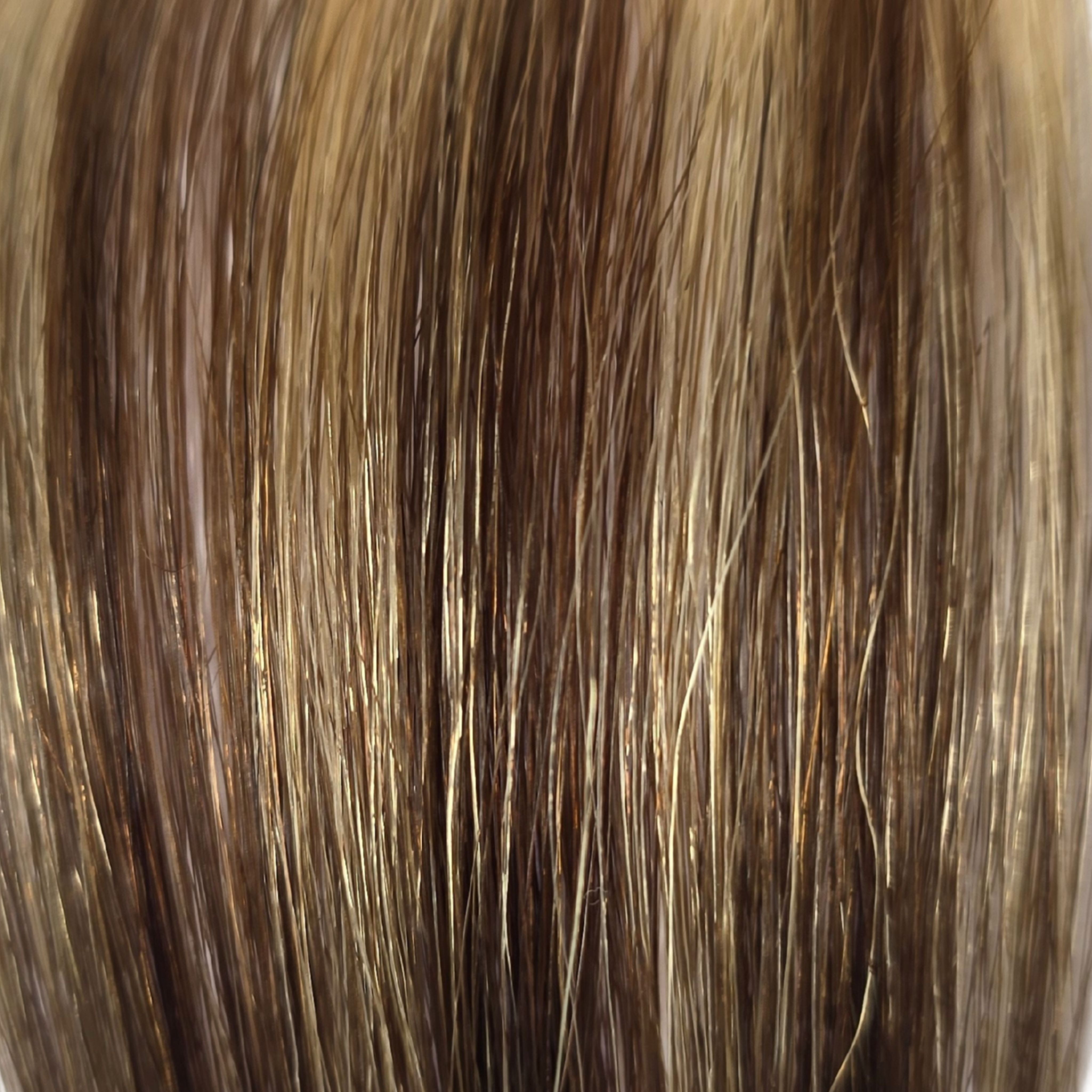 Clip-In Balayage T2-4_60A